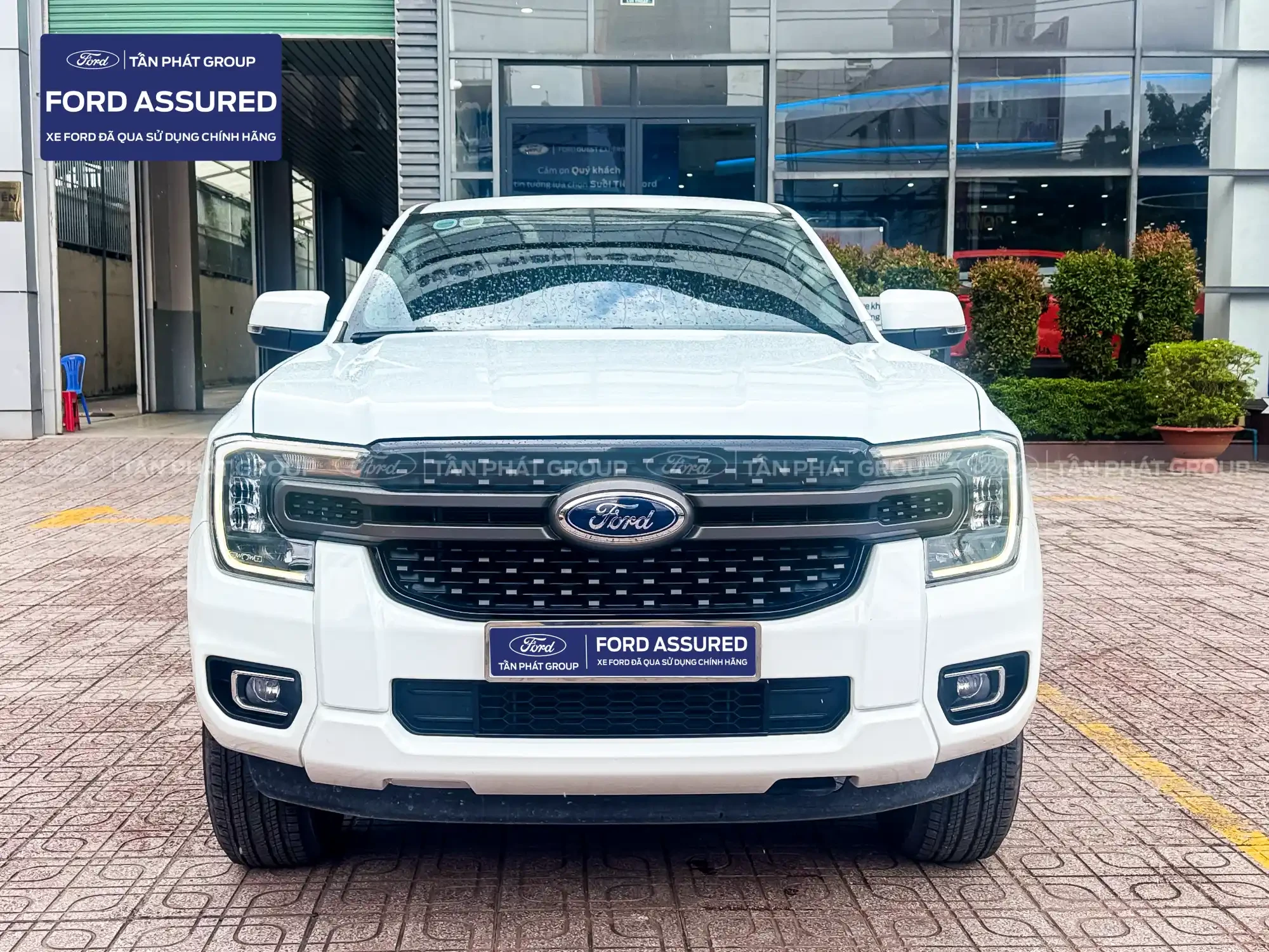FORD RANGER XLS 4x2 AT - Xe Lướt - 2024 - TRẮNG